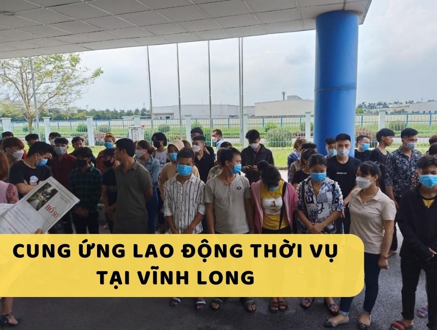 Cung ứng lao động thời vụ tại Vĩnh Long