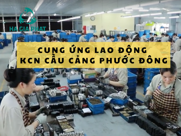 cung ứng lao động KCN Cầu cảng Phước Đông