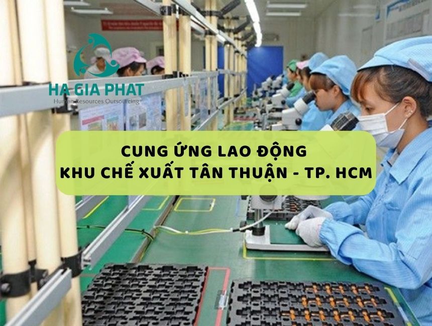 cung ứng lao động khu chế xuất Tân Thuận