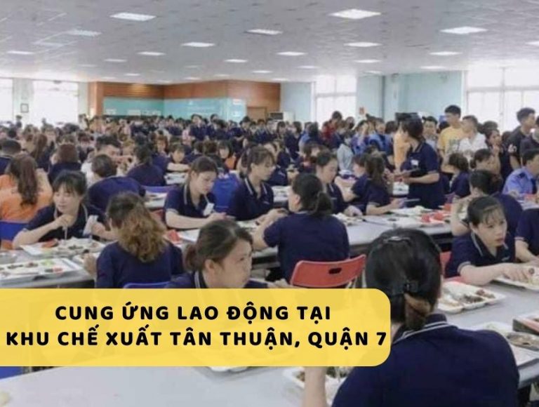 Cung ứng lao động khu chế xuất Tân Thuận