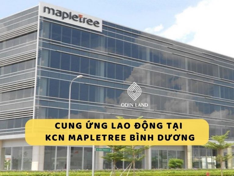 dịch vụ cung ứng lao động tại KCN Mapletree Bình Dương