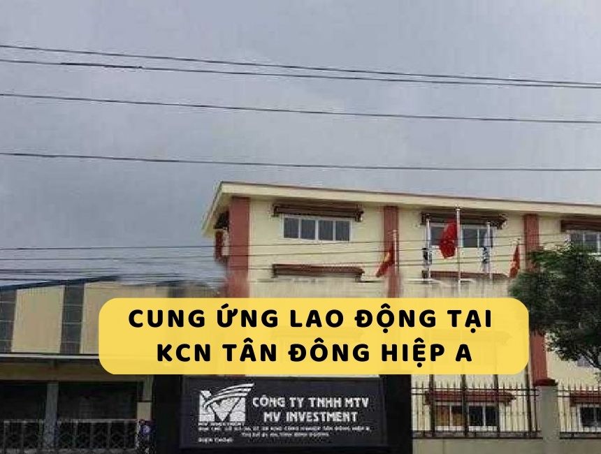 Dịch vụ cung ứng lao động tại KCN Tân Đông Hiệp A