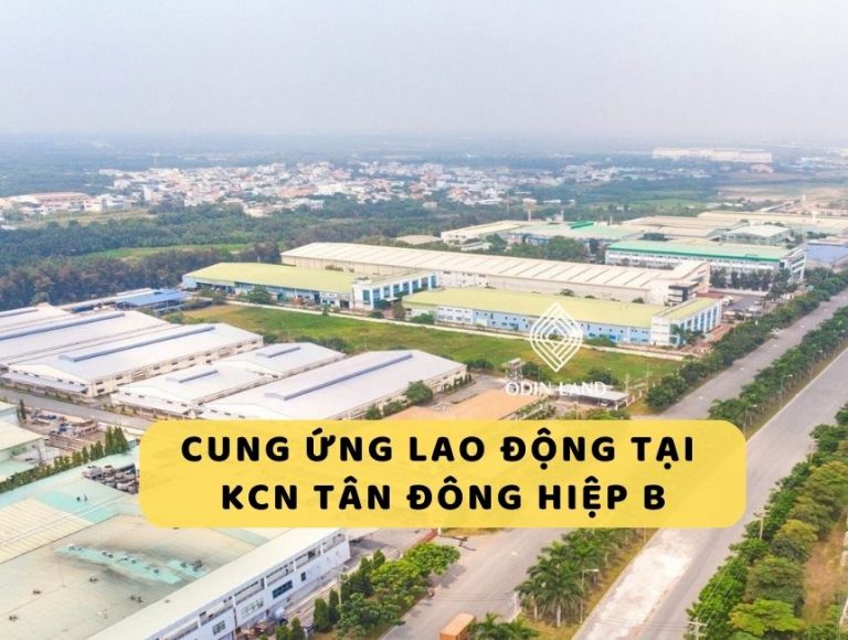 Cung ứng lao động tại KCN Tân Đông Hiệp B