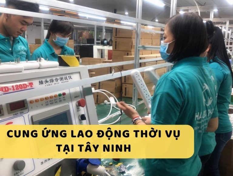 Dịch vụ cung ứng thời vụ tại Tây Ninh