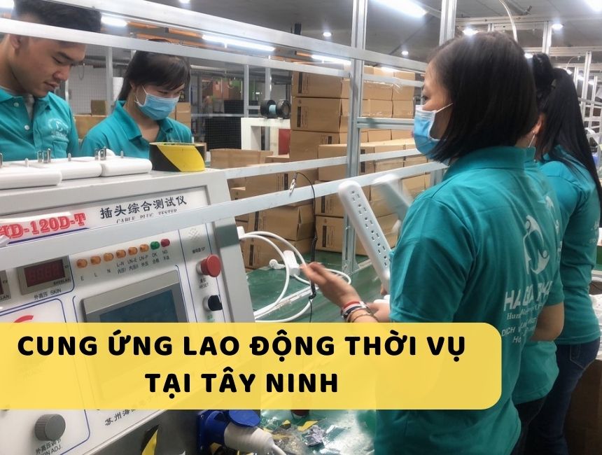 Dịch vụ cung ứng thời vụ tại Tây Ninh