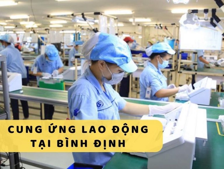 Dịch vụ cung ứng lao động tại Bình Định