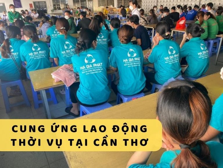 Dịch vụ cung ứng lao động thời vụ tại Cần Thơ