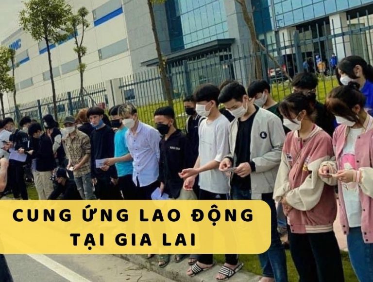 dịch vụ cung ứng lao động tại Gia Lai