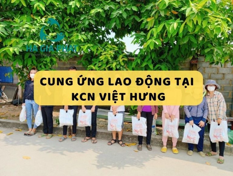 dịch vụ cung ứng lao động tại KCN Việt Hưng