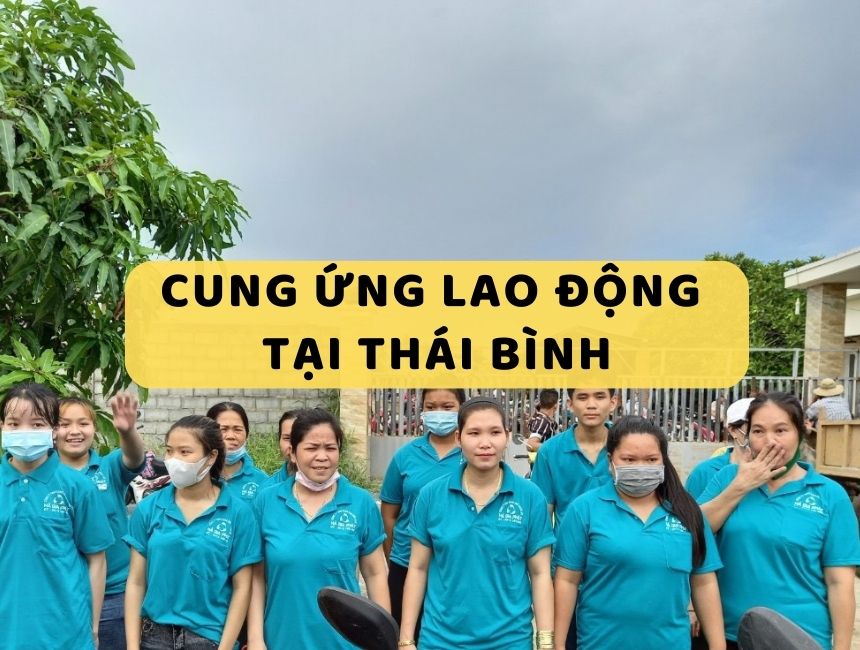 cung ứng lao động tại Thái Bình