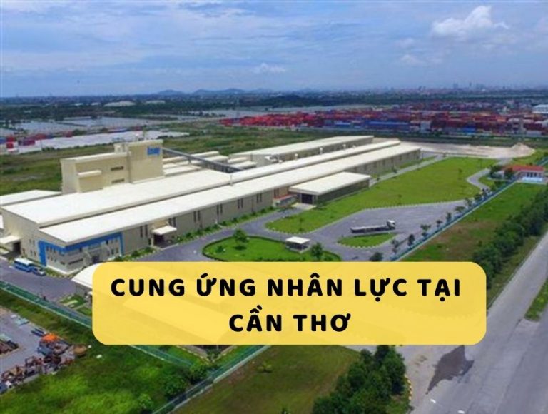 dịch vụ cung ứng nhân lực tại Cần Thơ